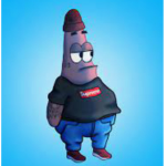 Sticher