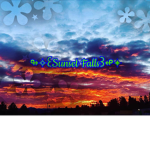 Sunset Falls Crew