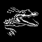 Steel Crocodile Studios