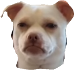 bubbaisoffline Fan Group!