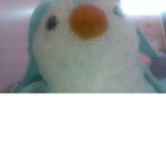 The Penguin sqaud!