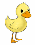 Duck Crowd