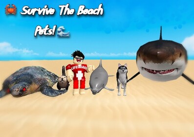 🦀 Survive The Beach Pets! 🌊  [NEW🎉]