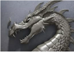 Team Fire Dragons