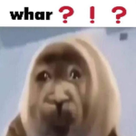 test2934729