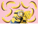 fruit troop!