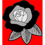 Redling Designs