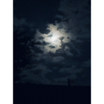 (\~W4F~/)