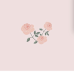 {The Rose Division}