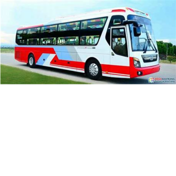 Bus SMLT Việt Nam