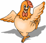 cheeky chickens