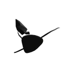 Boss' Eyepatch