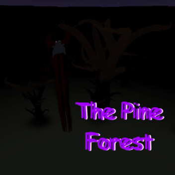 Pine Forest