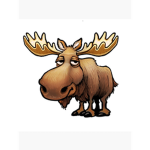 The United Moose
