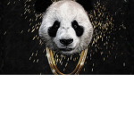 Icy Pandas gang