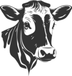Moo's Jersey Creations