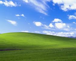 The!!!!!Fields