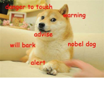 I DOGE HQ I
