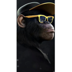 Big monkey’s