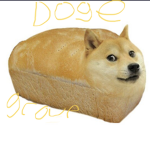Shiba loaf group