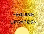 -Equine Clothing-