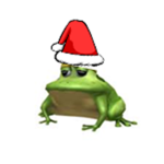 Official Team Frog