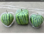 I love watermelon :)