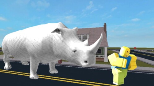 Rhino Chase
