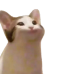 The Popcat Society