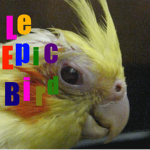 le epic bird