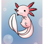 Cool Axolotl Club