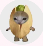 Horse cupcakes