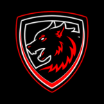 Dark Wolf Esport
