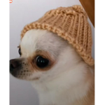 Los GachaTubers de roblox