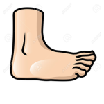 My Big foot group