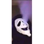 Herro_7366