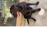 Kallie the great haha