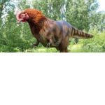 __The Dino Squad__