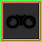 |AA| Special Intelligence Organisation