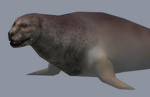 Seals INCOPORATED