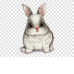 Les cupcakes !