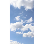 Skies Are Blue