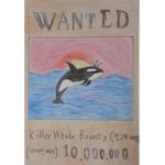 Killer Whale Bounty