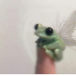 ᴄʟᴜʙ • ʜᴏᴜꜱᴇ
