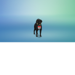 akirathedog plz join i give robux
