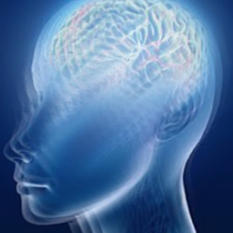 big brain base