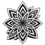 Aster Dynamics