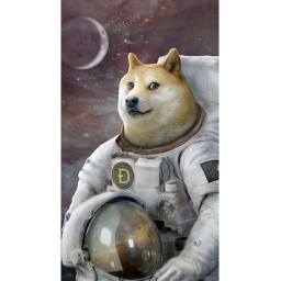 The Doge Island