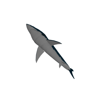 Shark (animated)