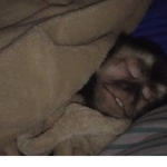 Sam XD